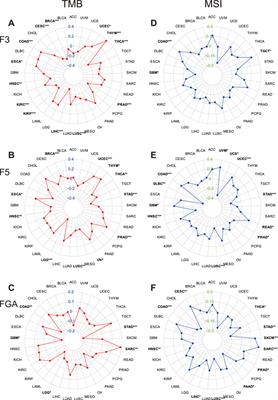 Pan-Cancer Analysis and Validation Reveals that D-Dimer-Related Genes are Prognostic and Downregulate CD8+ T Cells via TGF-Beta Signaling in Gastric Cancer